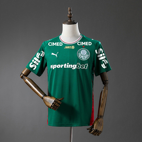 Palmeiras